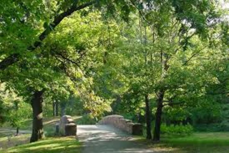 Emerald Necklace Trip Packages